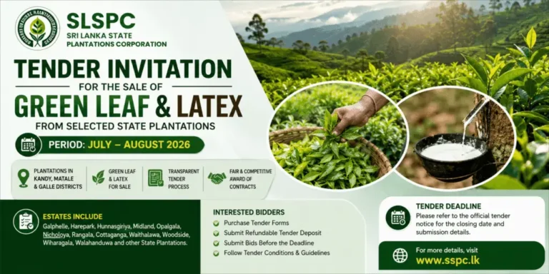 Green Leaf and Latex Tender Invitation Sri Lanka 2026